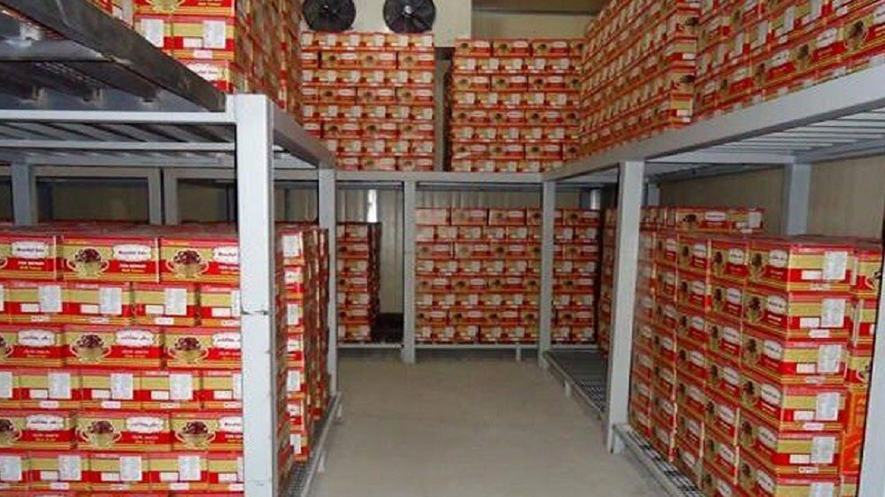 ذخیره سازی هشت تن خرما از سوی تعاون روستایی قزوین