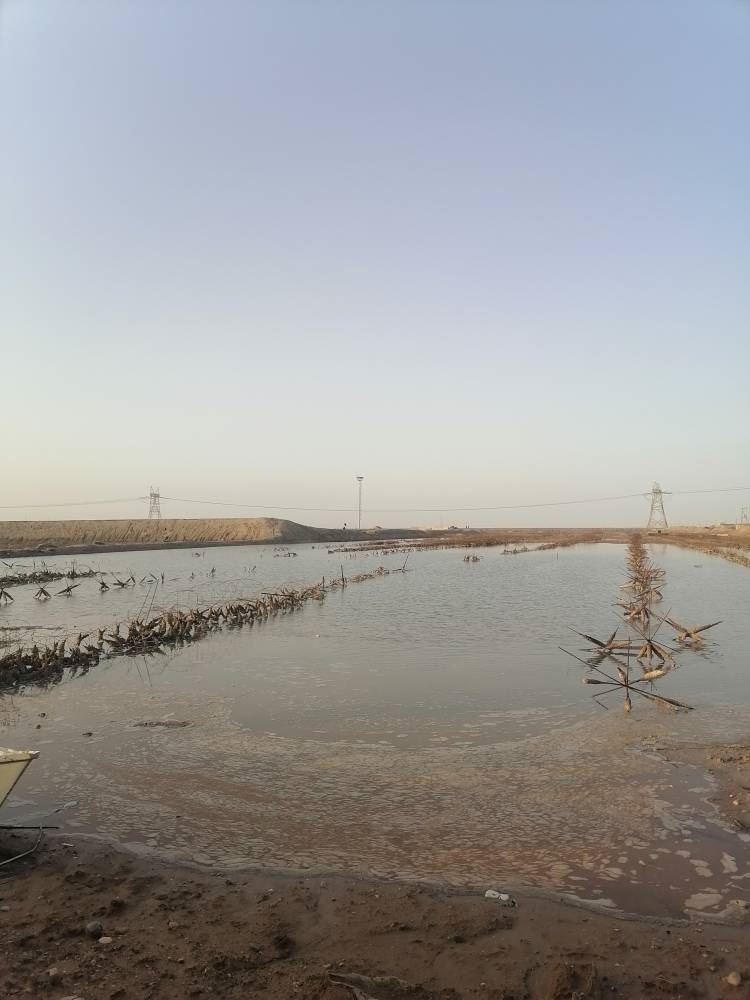 سرزمین نور