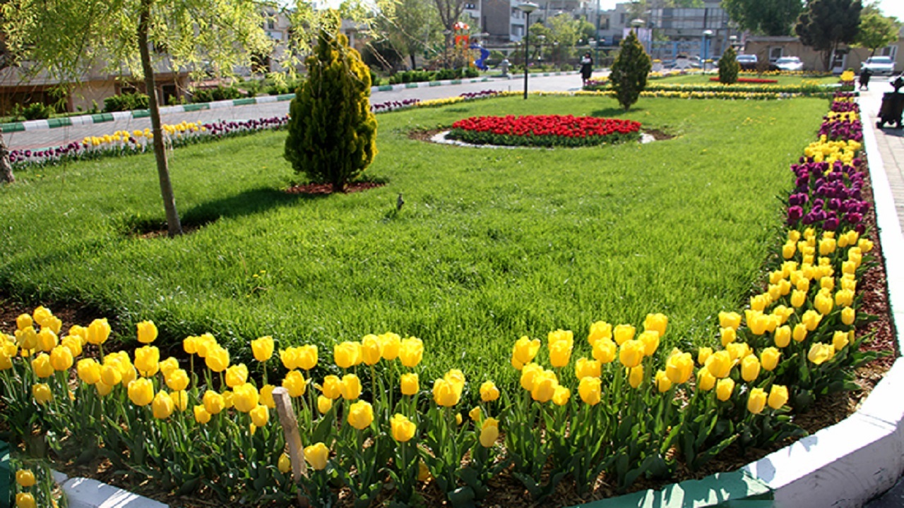 کاشت ۲۲ هزار مترمربع گل در سطح شهر به مناسبت عید نوروز