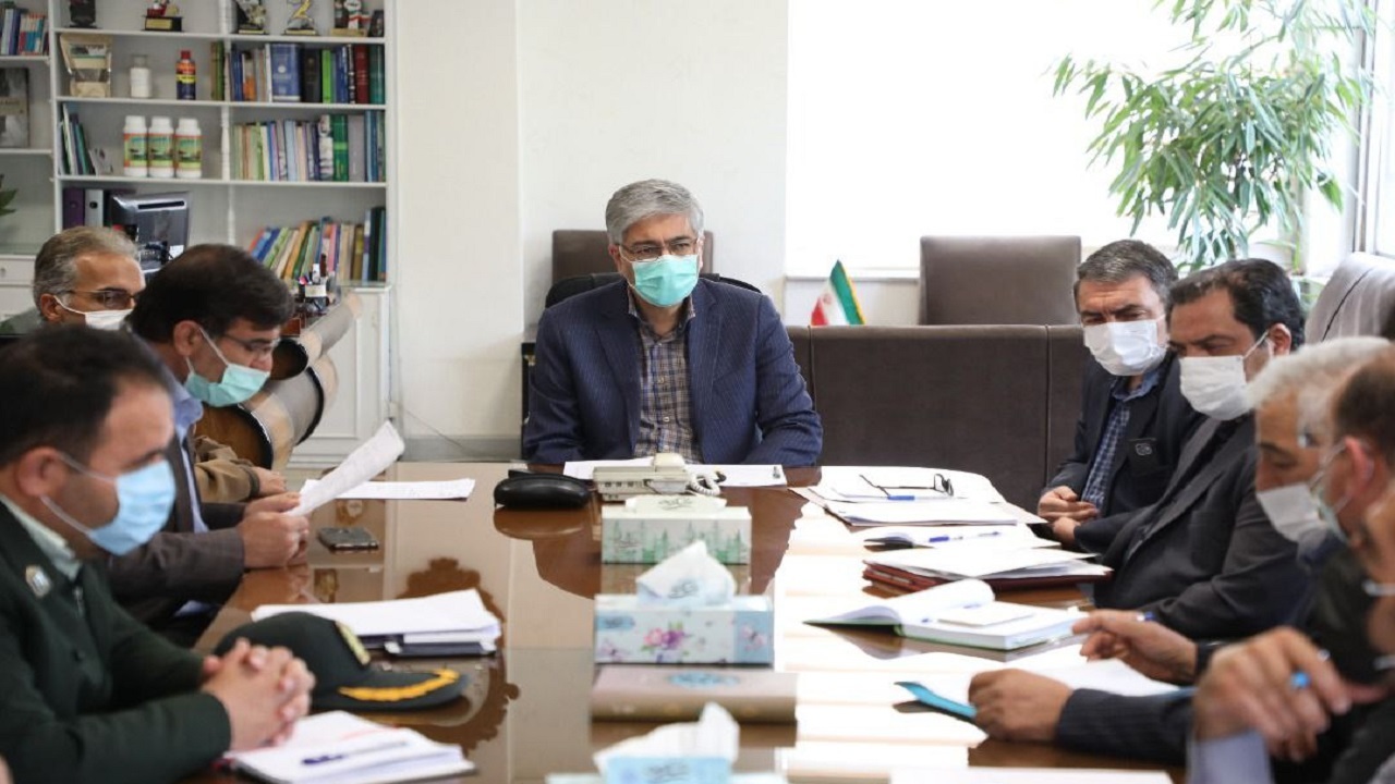 ذخیره گندم در استان باید منطقی باشد