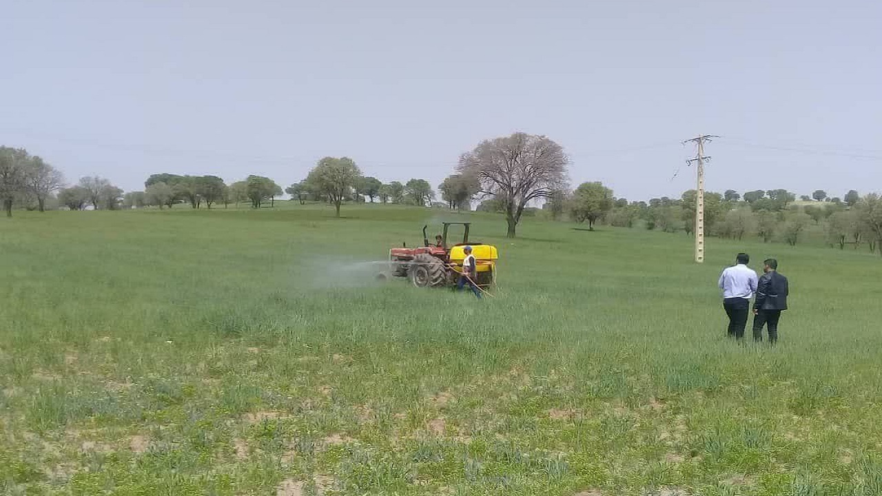 سمپاشی اراضی تنگ کلور شهرستان خانمیرزا علیه ملخ