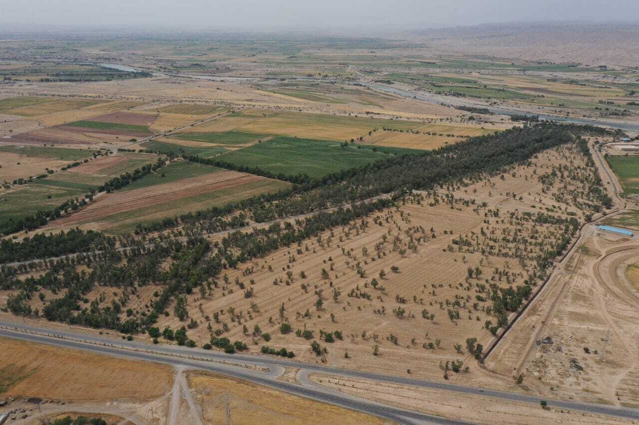 گلایه شهروندان دزفولی از جنگل خواری + تصاویر