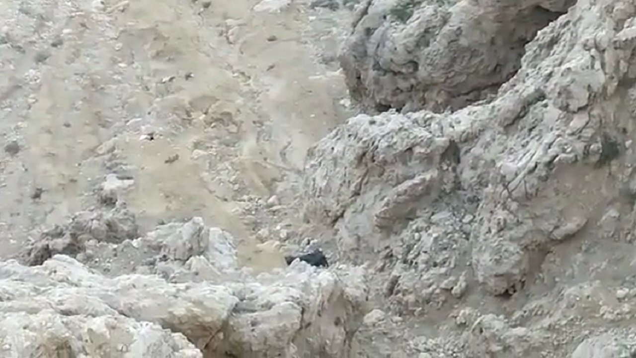 فوت راننده خوزستانی به دلیل سقوط از گردنه چری