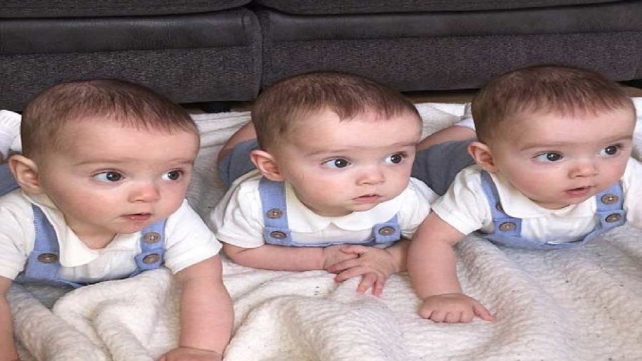 بهزیستی از خانوار‌های دارای فرزند چند قلو حمایت می کند