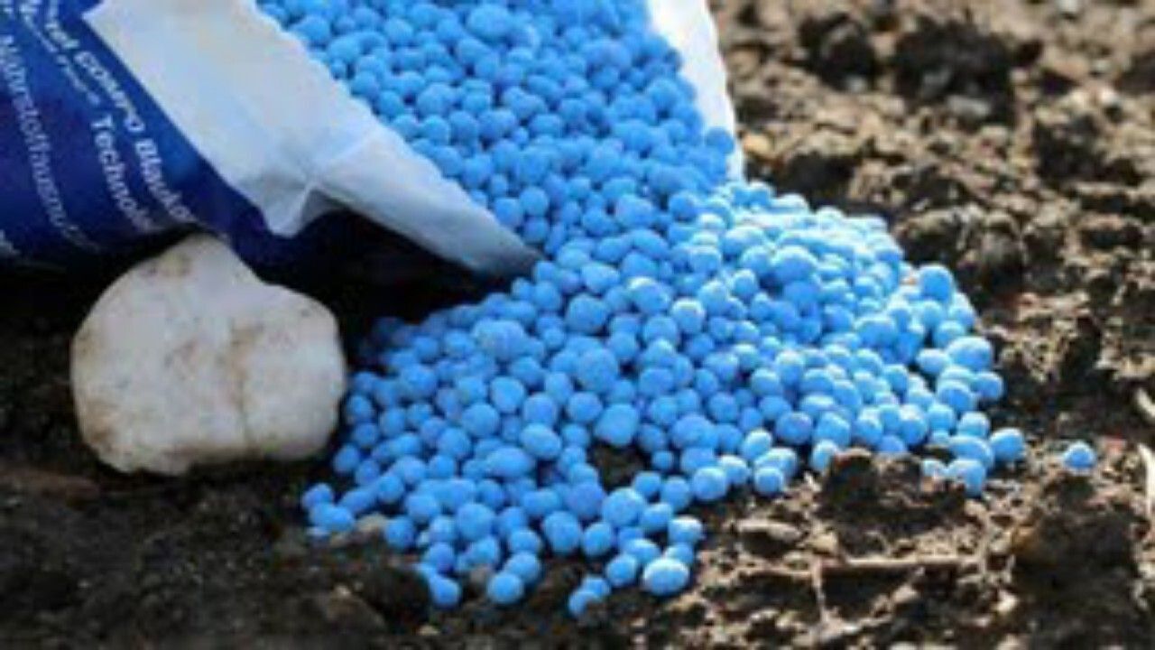 توزیع بیش از ۳ هزار تن کودشیمیایی در استان قزوین