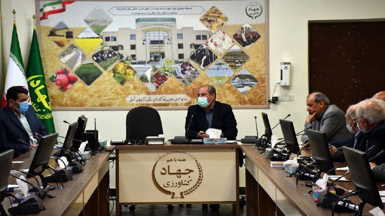 میزان ضایعات برداشت در مزارع گندم آذربایجان شرقی ۴.۳۲ است