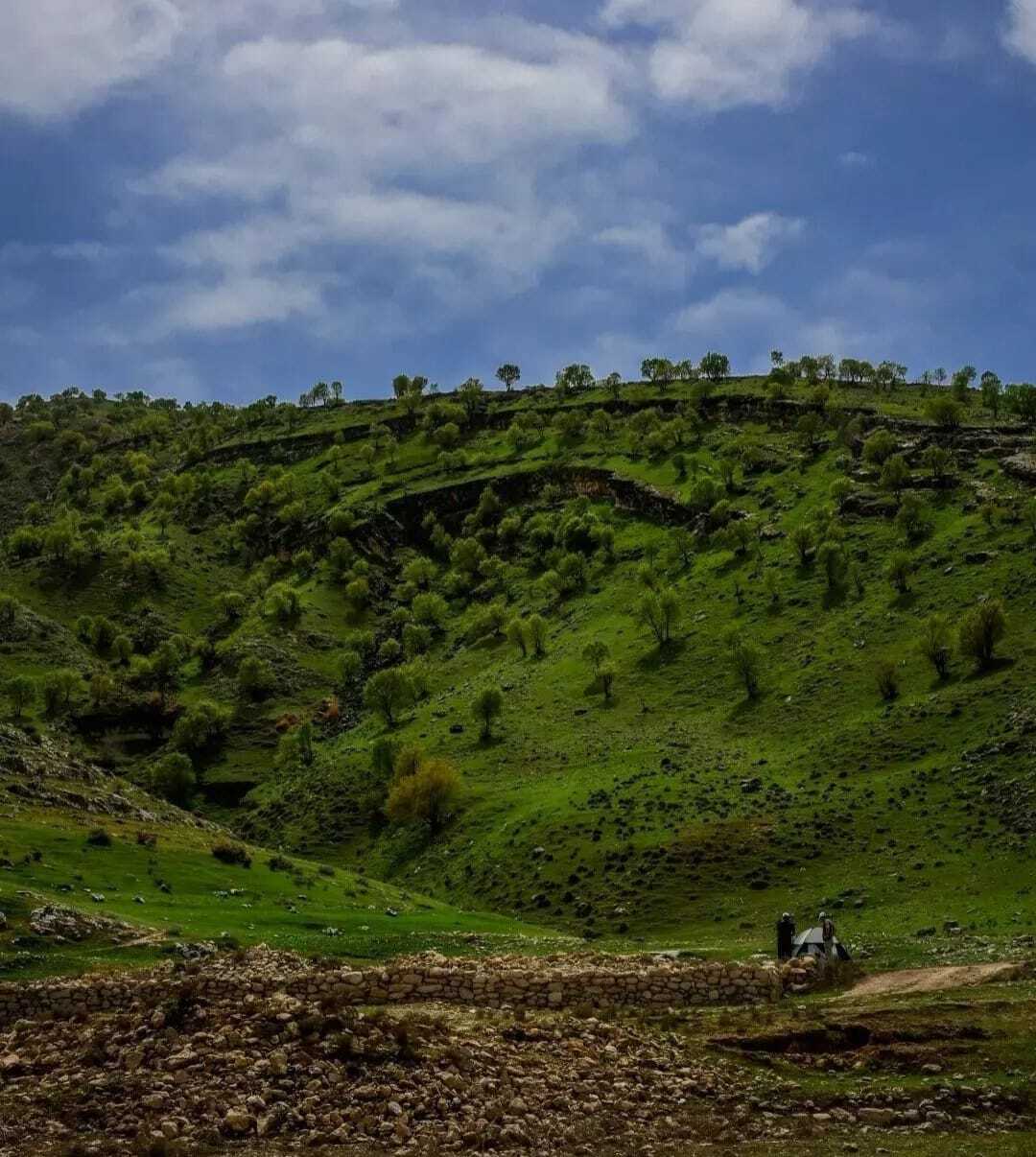 نمایی از طبیعت بهاری دریاچه سد سیمره + تصاویر