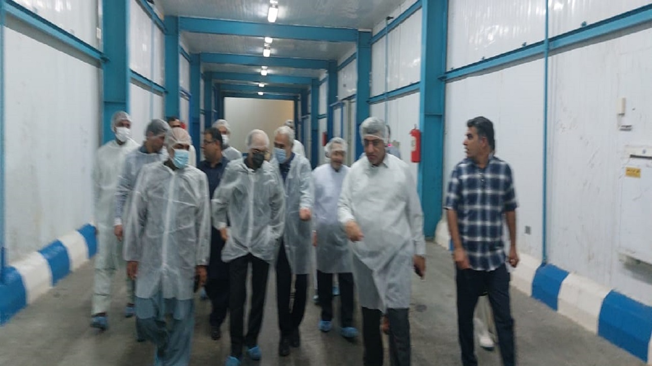 کلنگ زنی کارخانه کنسرو تن ماهی و شروع بکار مجدد کشتارگاه صنعتی ارغوان