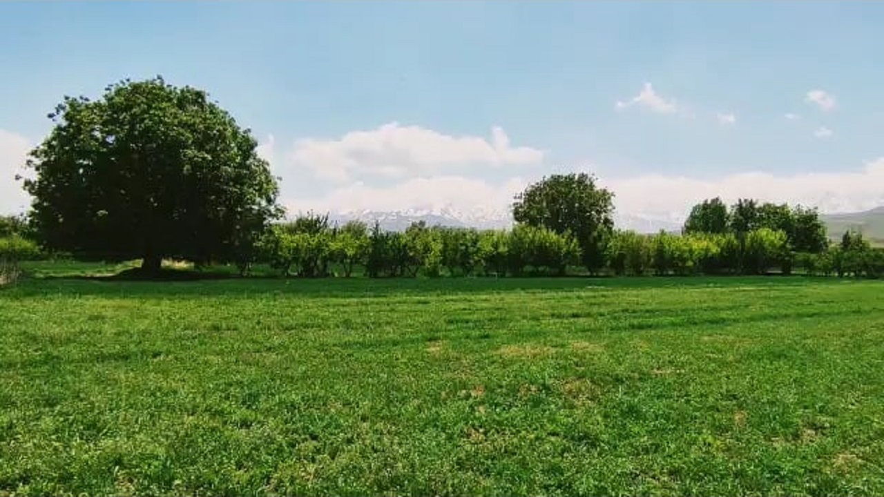 از