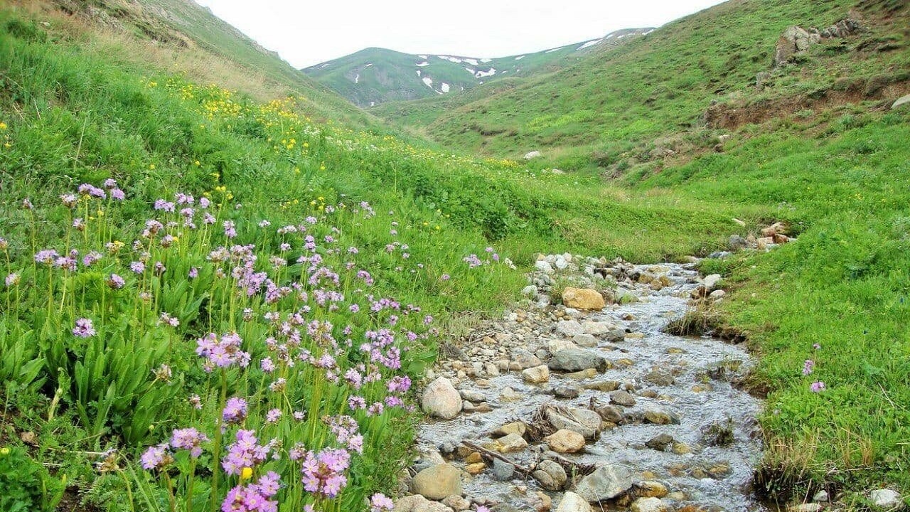 تخریب گر طبیعت در الموت غربی به دام محیط بانان افتاد