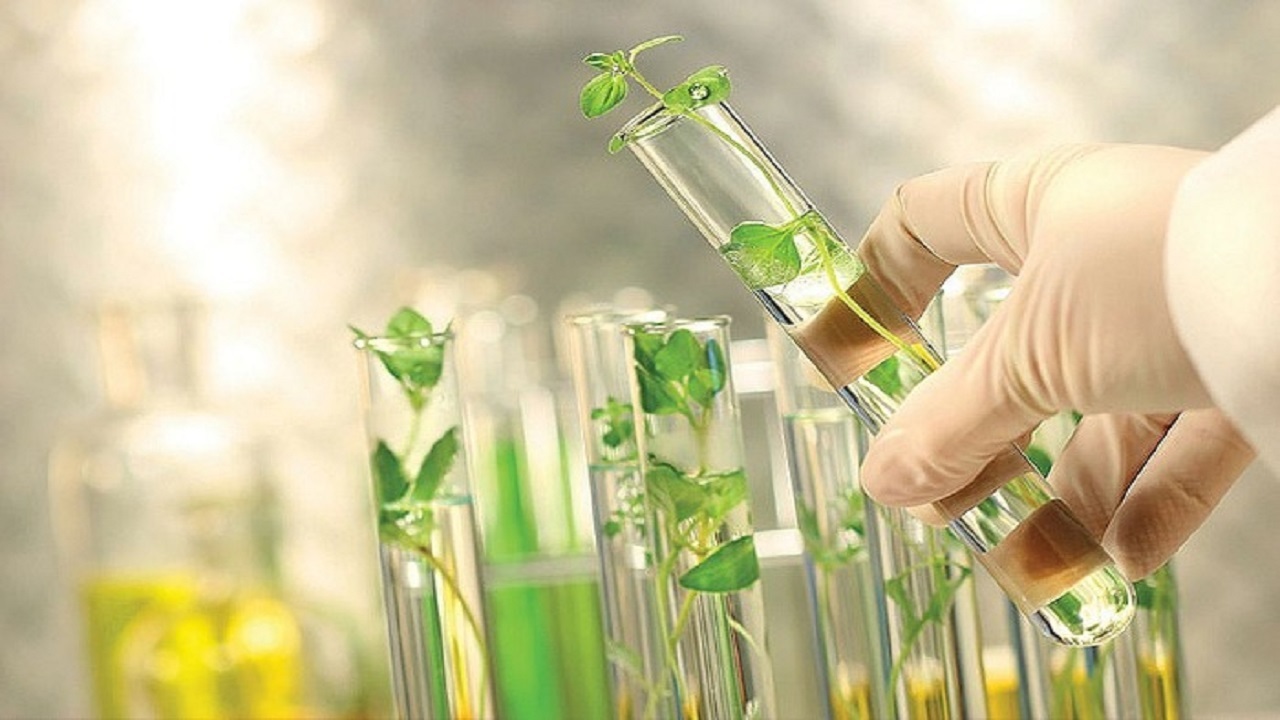 کسب رتبه دوم پایشهای زیست محیطی کشور توسط خراسان رضوی