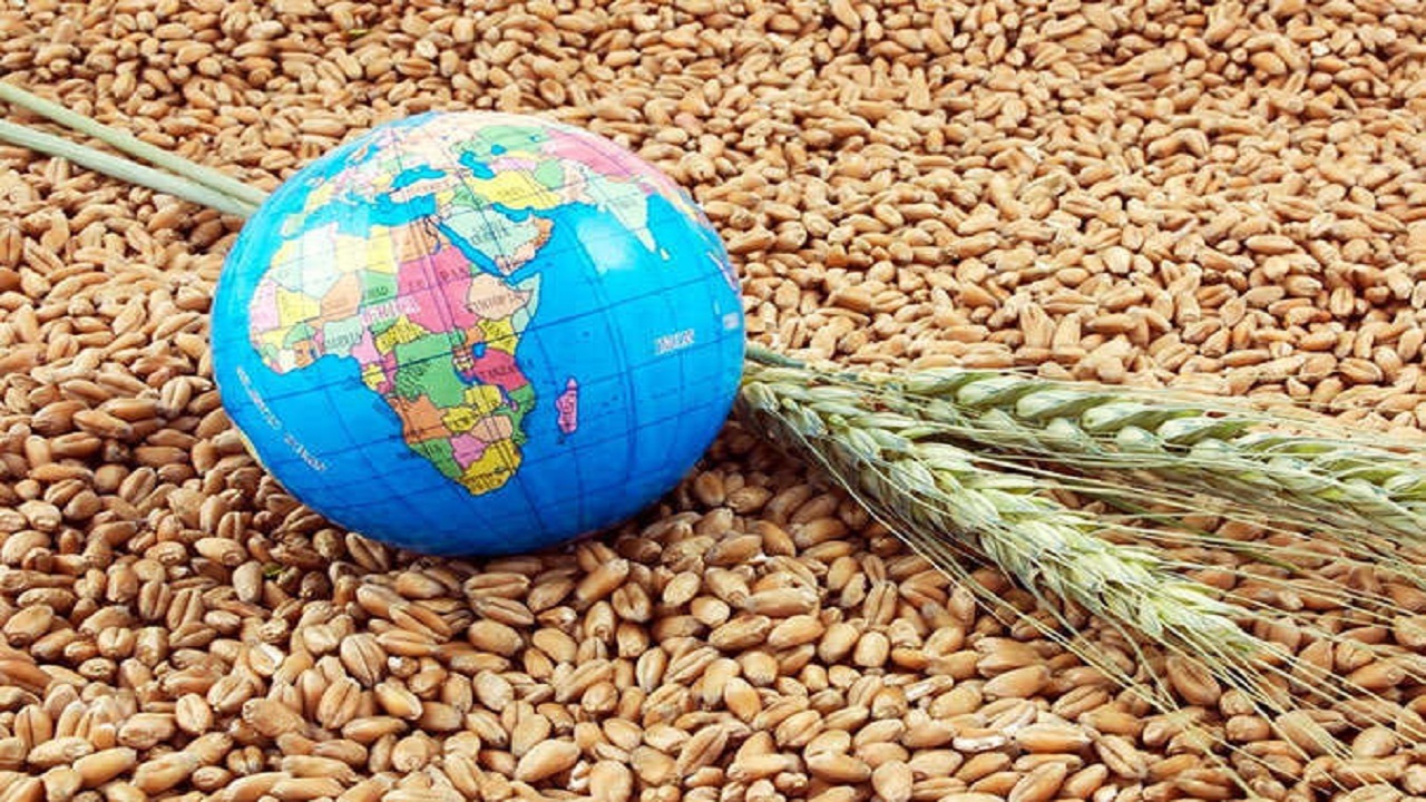 هشدار کارشناسان درباره شکل گیری بحران غذایی در جهان