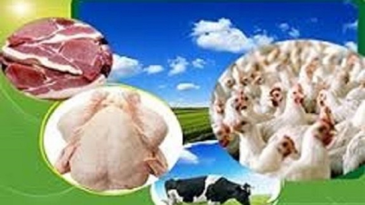 صادراتِ بیش از ۲۸میلیون کیلوگرم فرآورده های خامِ دامی از اصفهان