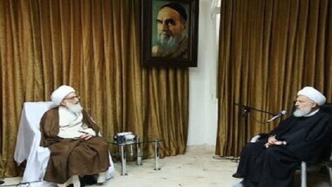 دیدار نایب رئیس مجلس اعلای شیعیان لبنان با آیت الله نوری همدانی