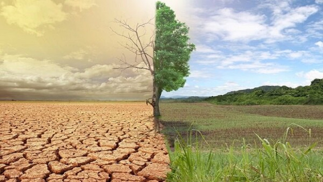 اختصاص ۱۱۵ میلیارد تومان برای بیابان زدایی و احیای مراتع گلستان