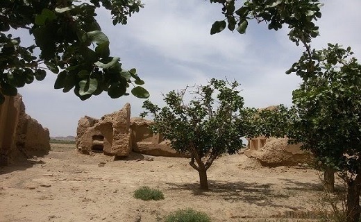 دامداران منتظر احداث مجتمع دامداری اند