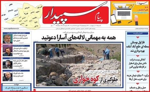 سپیدار