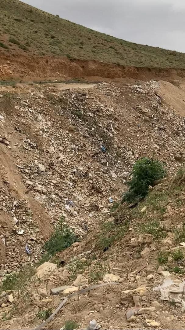 انباشت زباله در سمیرم به وسعت یک جنگل + تصاویر