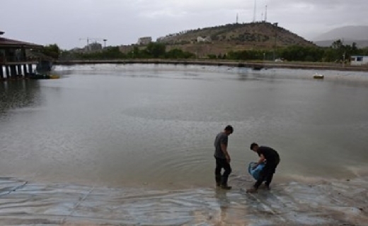 دست هایی که جان بخشیدند