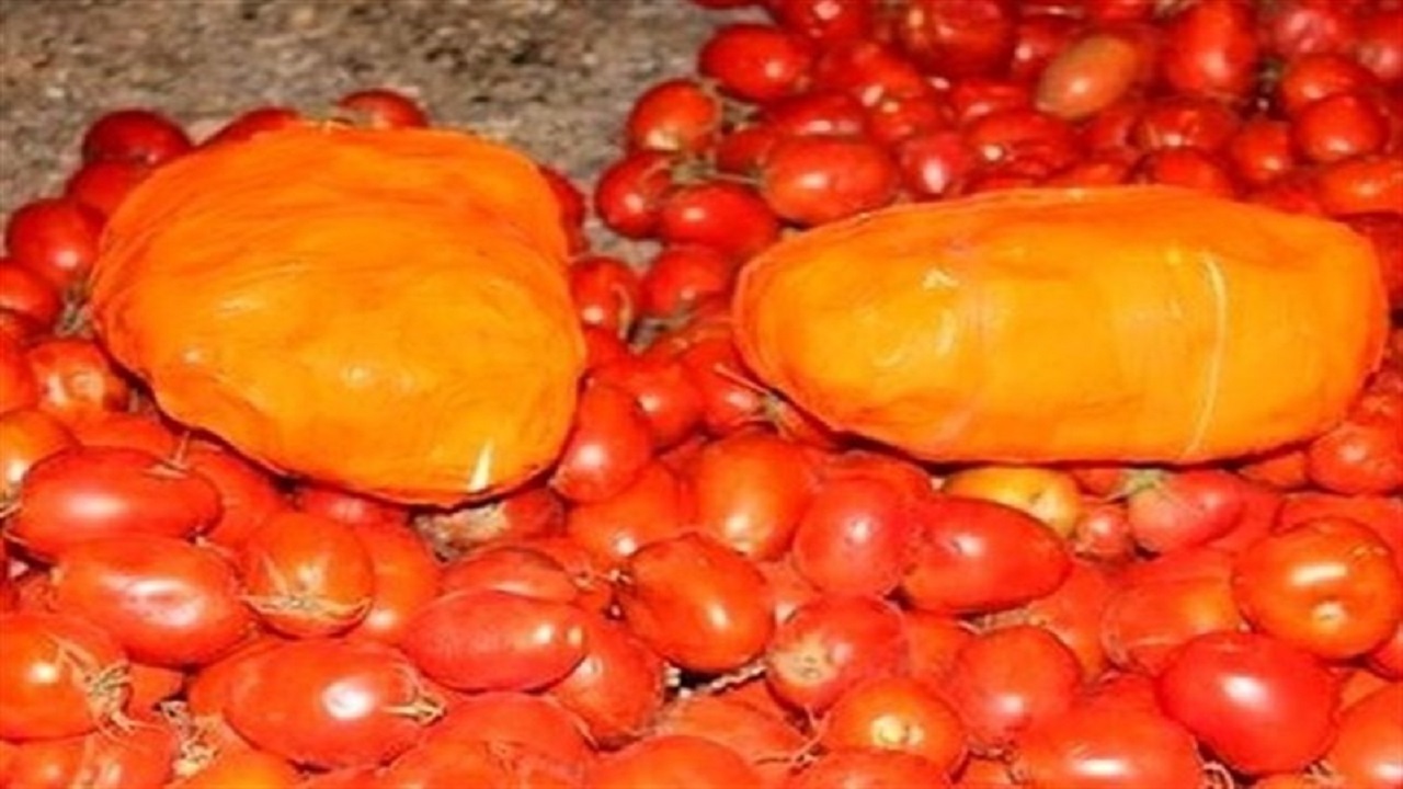 کشف گوجه فرنگی با طعم حشیش در قم