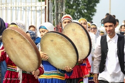 شکوفایی و عطرآکنی بهارنارنج در شیراز