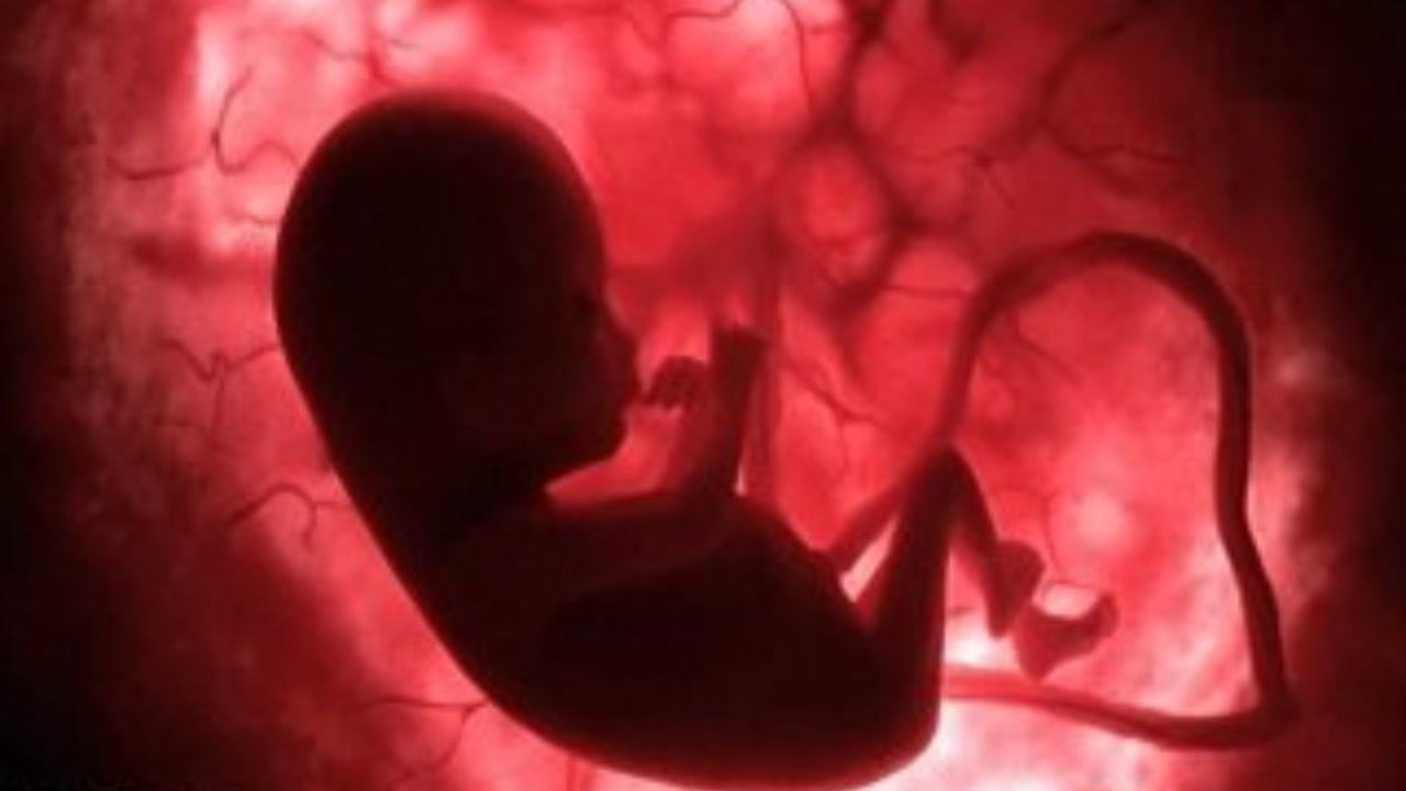 جلوگیری از تولد ۹ نوزاد معلول در خراسان جنوبی