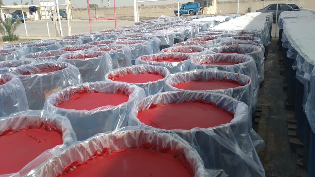 فعالیت ۲ کارخانه تولید رب گوجه فرنگی در عنبرآباد متوقف شد