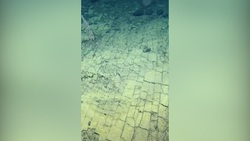 قطاری که از هیچ سوخت کربنی استفاده نمی‌کند + فیلم