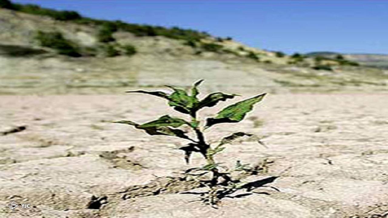 ۶۴ درصد از آذربایجان غربی دچار خشکسالی شدید تا بسیار شدید است