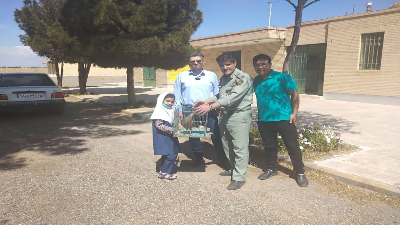 کار تحسین برانگیز دانش آموز رفسنجانی