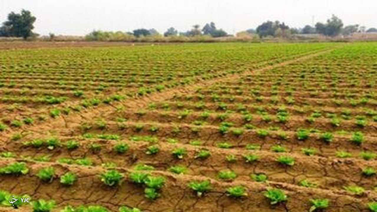 اجرای طرح استقرار کشاورزی پایدار در ۱۸۳ روستای حوضه آبریز دریاچه ارومیه