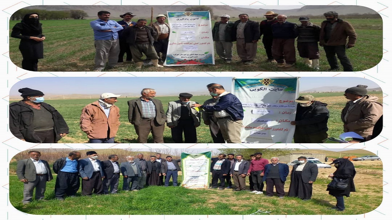 راه اندازی ۱۰ سامانه جامع الگویابی محصولات کشاورزی در بام ایران