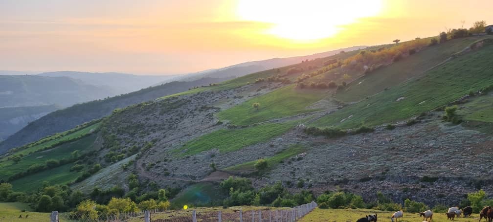 گوشه ای از طبیعت شمال کشور در روستای اوارد + تصاویر