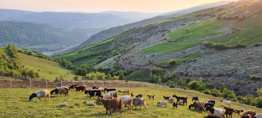 گوشه ای از طبیعت شمال کشور در روستای اوارد + تصاویر