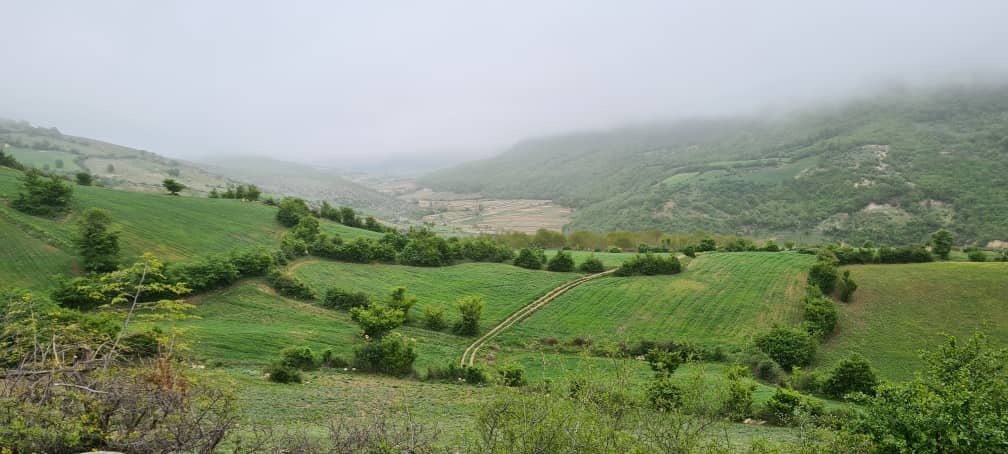 گوشه ای از طبیعت شمال کشور در روستای اوارد + تصاویر