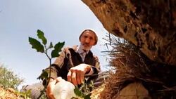 قطاری که از هیچ سوخت کربنی استفاده نمی‌کند + فیلم
