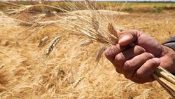 ادعای اوکراین در مورد استفاده روسیه از بمب فسفر + فیلم