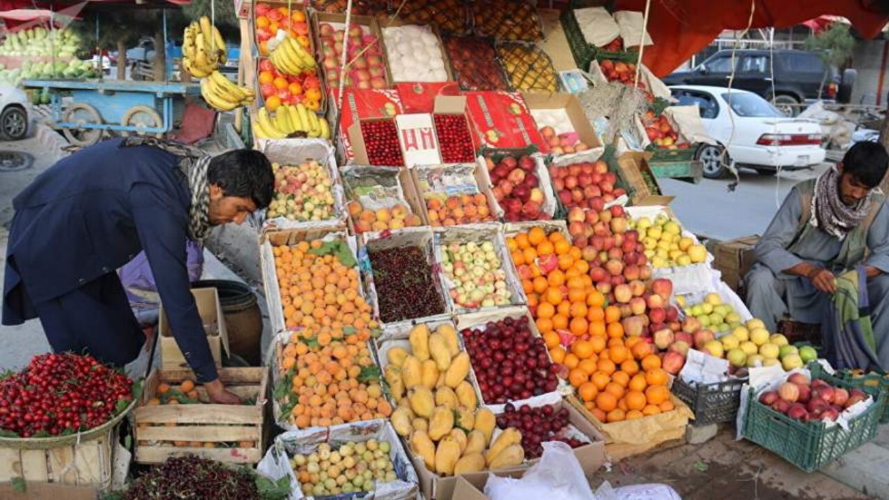 ۲۲ مؤسسه خارجی در بخش زراعت هرات فعال هستند