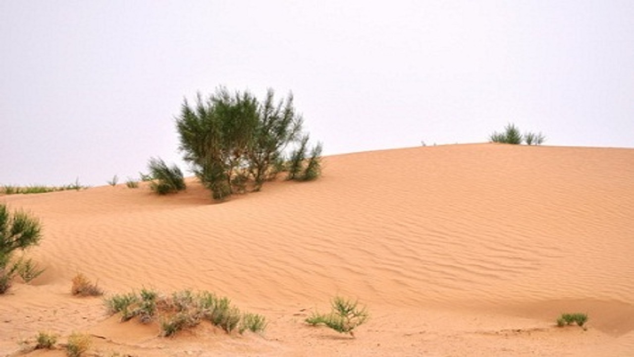 بیابان سجزی منطقه فوق بحرانی  اصفهان از نظر بیابان‌زایی