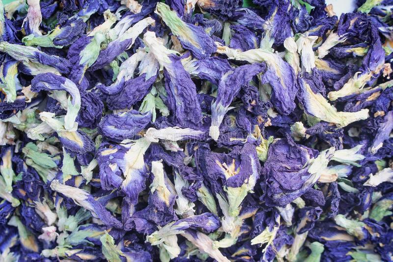 گل گاو زبان دمنوشی دارویی با ارزش اقتصادی بالا