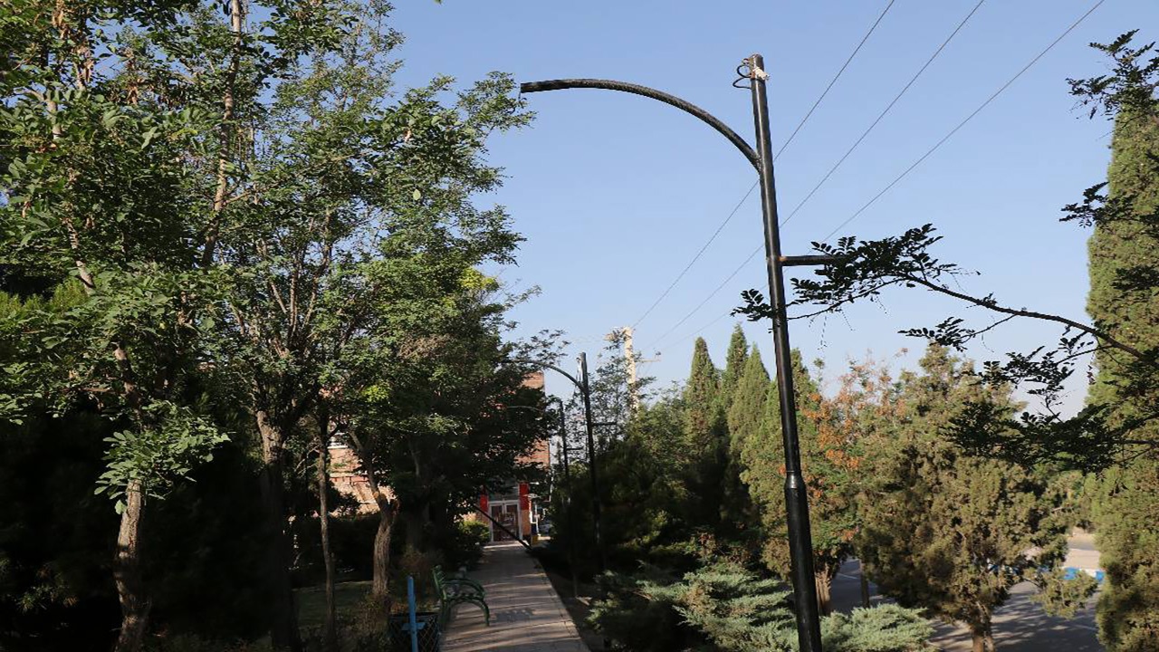 خسارت میلیونی سارقان به بوستان های زرند