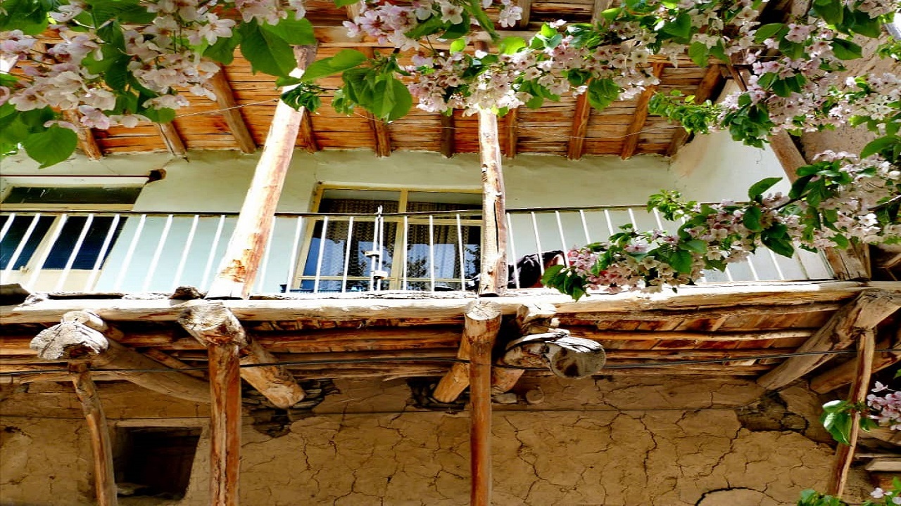 طبیعت روستای ازغد نمایی از طبیعت بهاری روستای ازغد + تصاویر