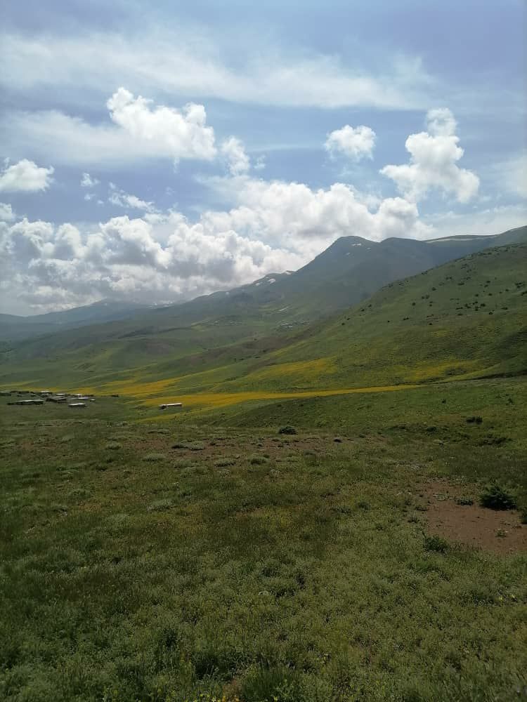 از