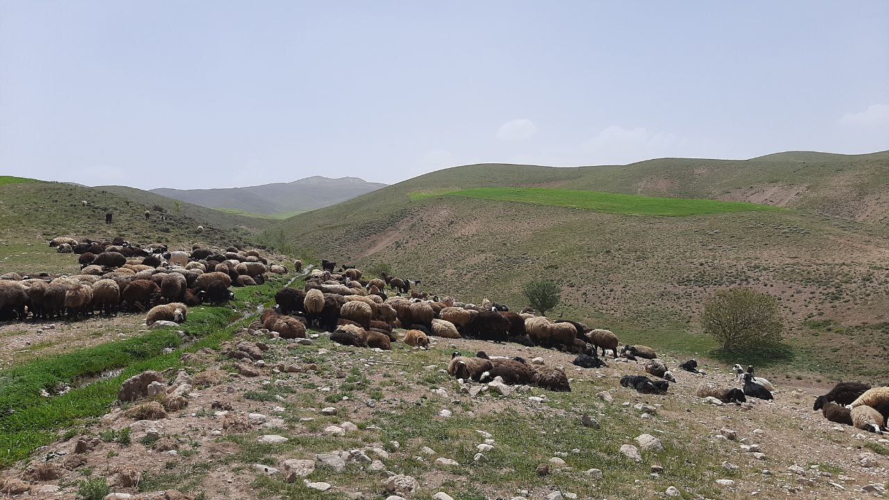 نمایی از روستای توآباد در دل کوهستان + تصاویر