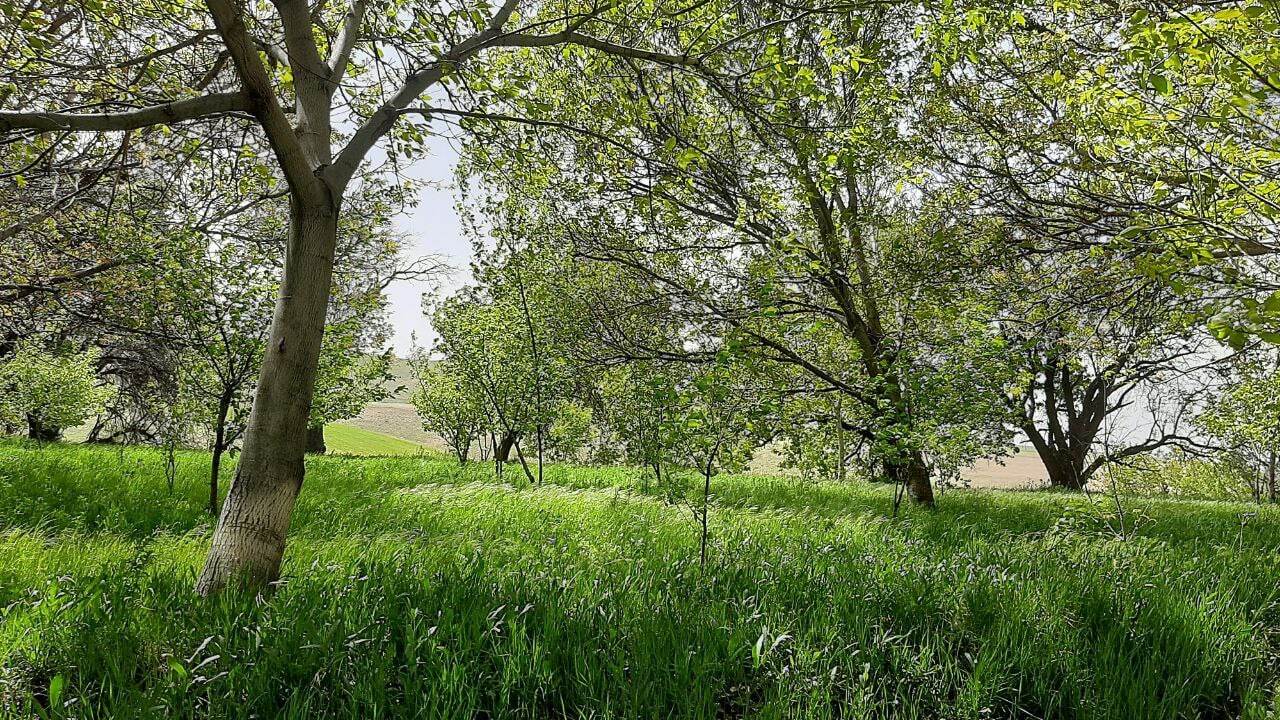 نمایی از روستای توآباد در دل کوهستان + تصاویر