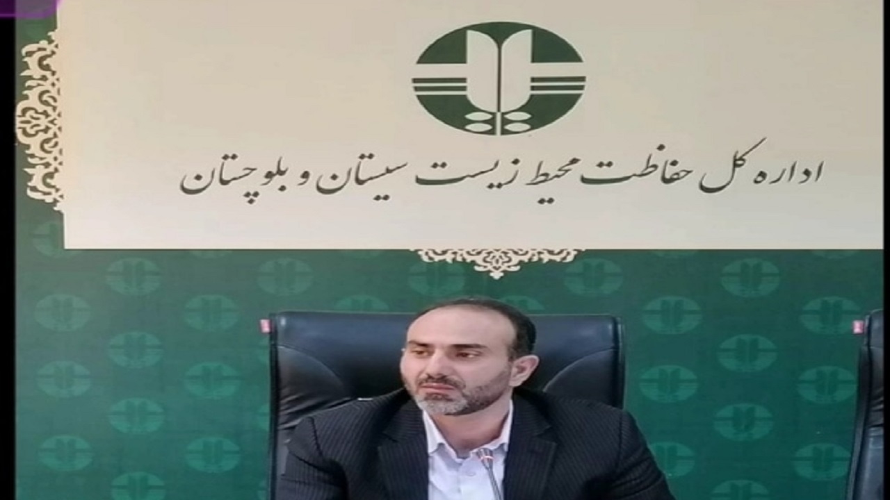 صید، خرید و فروش کوسه ماهیان در سیستان و بلوچستان ممنوع است