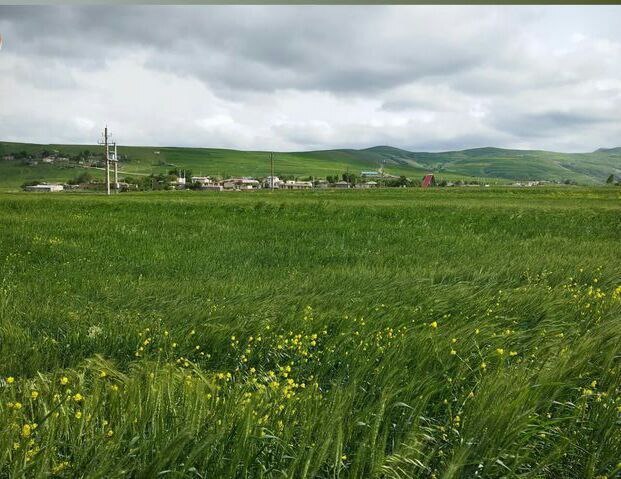 نمایی از طبیعت بهاری روستای موران + تصاویر