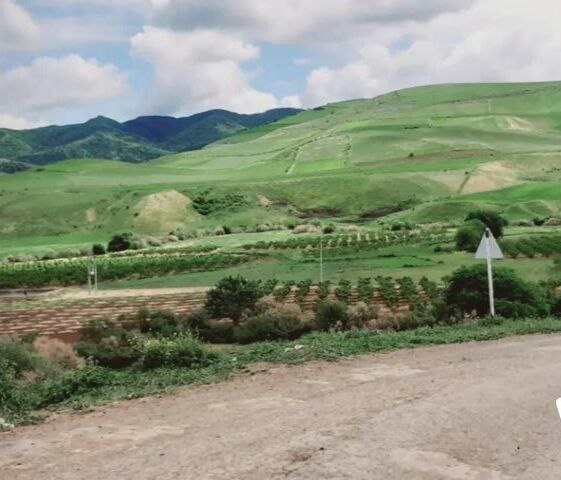 نمایی از طبیعت بهاری روستای موران + تصاویر