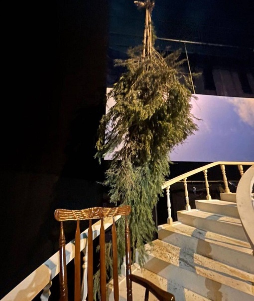 دار زدن ۲ درخت سرو در تئاتر شهر