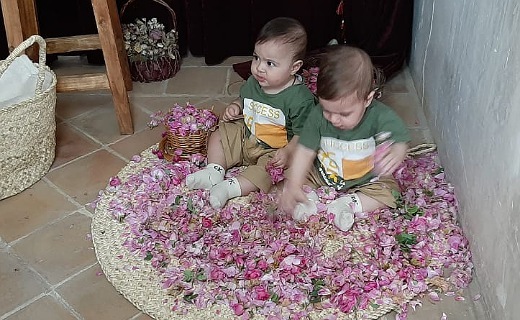 برگزاری آیین ملی گل غلتان در کاشان+&zwnj;  &zwnj;تصاویر و فیلم